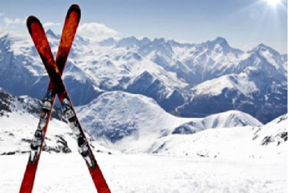 Les activités du club